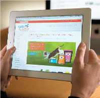 Ecommerce design and setup by Big Guy